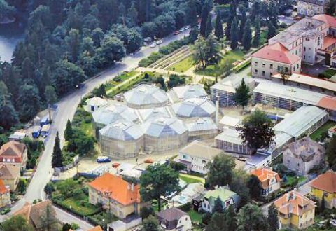 Botanick zahrada Liberec - expozin sklenky